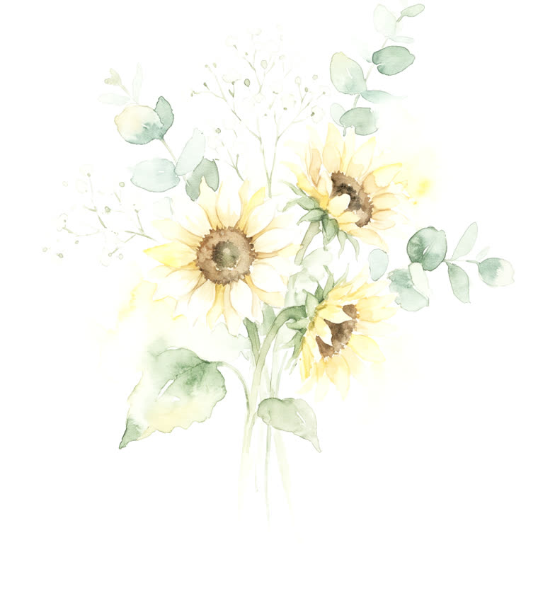 Watercolour bouquet of sunflowers, baby's breath and eucalyptus